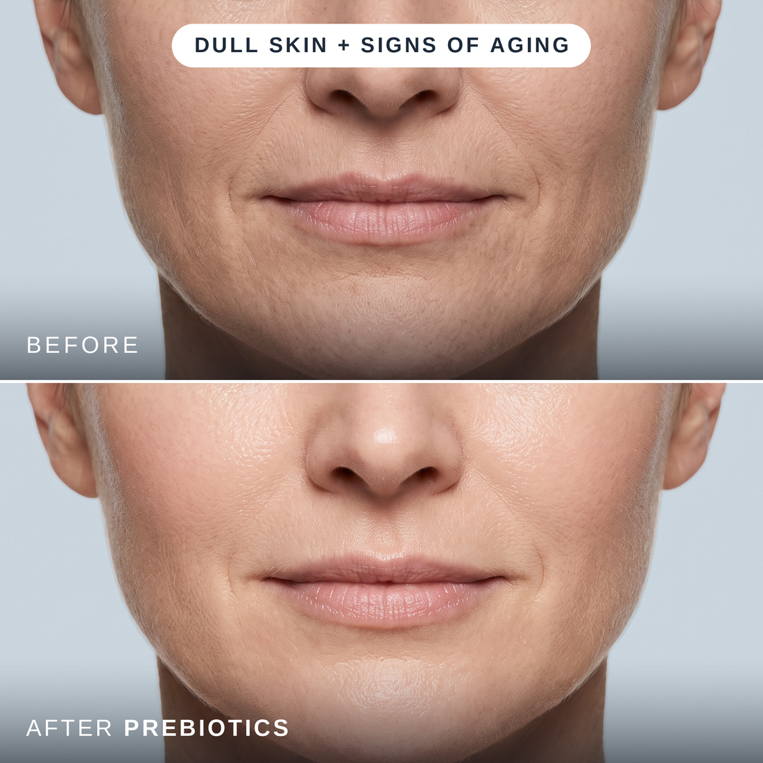 Prebiotic Recovery Serum
